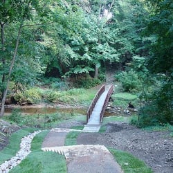 Ray Bradbury Park - The Ravine