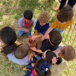 Southminster School - Petting Zoo Day!