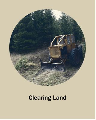 Land Clearing and Stump Removal - Reach us now for commercial and residential projects we clear it all Land Clearing and Stump Removal - Reach us now for commercial and residential projects we clear it all