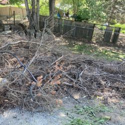 Three Brothers Landscaping - Before