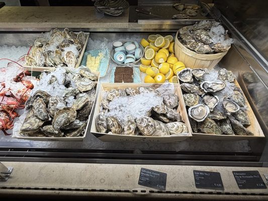 Dallmayr Bar & Grill by null