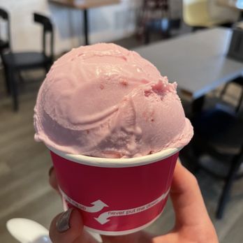 True North Ice Cream - Dairy free strawberry ice cream - Ice Cream & Frozen Yogurt Near Me - Marshall, Michigan True North Ice Cream - Dairy free strawberry ice cream - Ice Cream & Frozen Yogurt Near Me - Marshall, Michigan