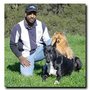 Photo of One Day Dog Training