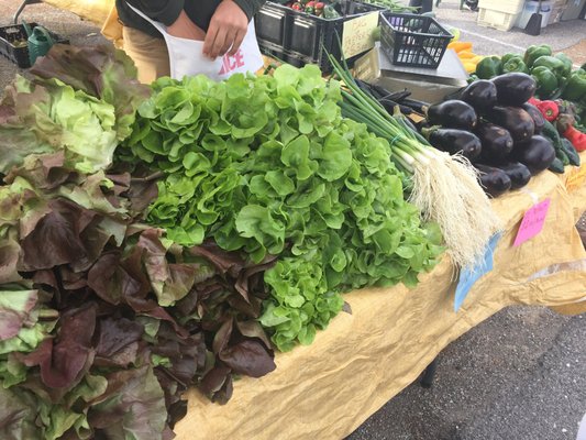 Columbia Farmers Market by null