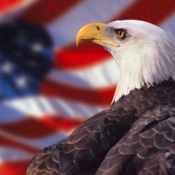 DCC Hypnosis, NLP & Life Coaching Center - Happy Independence Day! I love America and the Freedoms we've been gifted