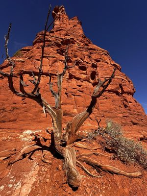 Boynton Canyon Trail by null