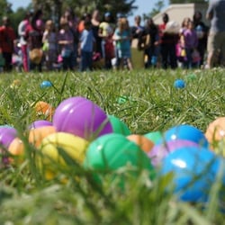 Tapestry Church - Tapestry Church Easter Egg hunt.