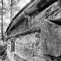 California Woods - Little wood house/shed/cabin? Wish there was signage to tell what and why.
