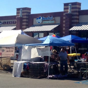 Boofy's Best for Pets - Forever Home animal rescue event. - Pet Stores Near Me - Albuquerque, New Mexico
