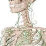 Photo of Taylor Lymphatic Therapy