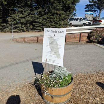 The Birds Cafe - Seafood Near Me - Bodega Bay, California