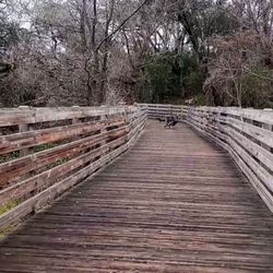 Jim Konopka Volunteer Bridge