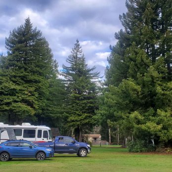 Mystic Forest RV Park - We had the middle section to ourselves. These huge trees made my RV look small. - RV Parks Near Me - Klamath, California