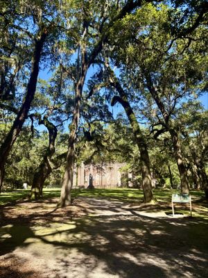 Old Sheldon Church Ruins by null