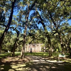 Old Sheldon Church Ruins - Old Sheldon Church Ruins