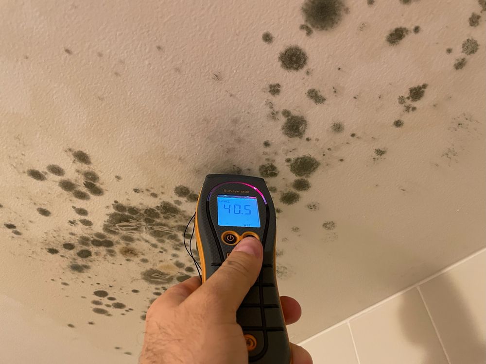 Brownfish Field Inspections - mold inspector in Boca Raton, FL