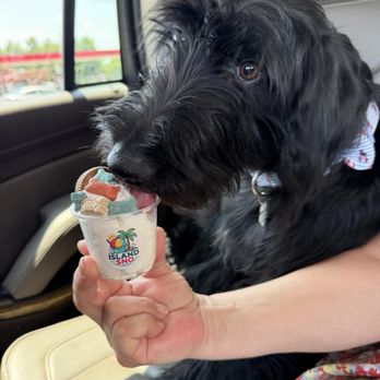 Island Sno - Pup cup - Shaved Ice Near Me - Edmond, Oklahoma