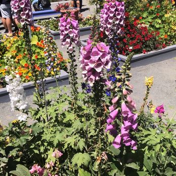 The Flower Fields - Venues & Event Spaces Near Me - Carlsbad, California