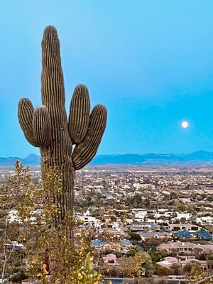 Camelback Mountain by null