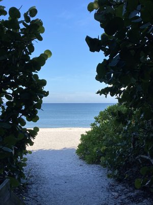 Bonita Beach Park by null