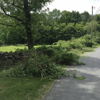 Davidson Landscaping - Before picture of a hidden beautiful rock wall - Landscaping Near Me - Patterson, New York