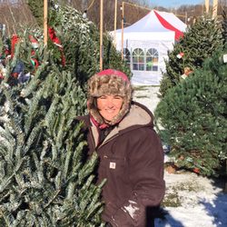 Annie's Christmas Trees - Annie, owner of Annie's Christmas Trees