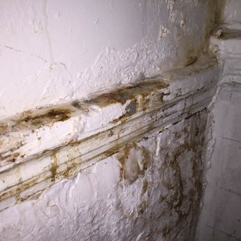 Pollard & Bagby - Mold oozing through the wall!! - Property Management Near Me - Richmond, Virginia Pollard & Bagby - Mold oozing through the wall!! - Property Management Near Me - Richmond, Virginia