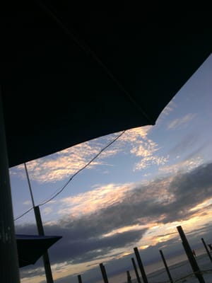 The Beach Bar by null