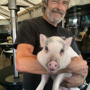 Hennessey's Tavern - Chef with Romeo! Oink - Pubs Near Me - Dana Point, California