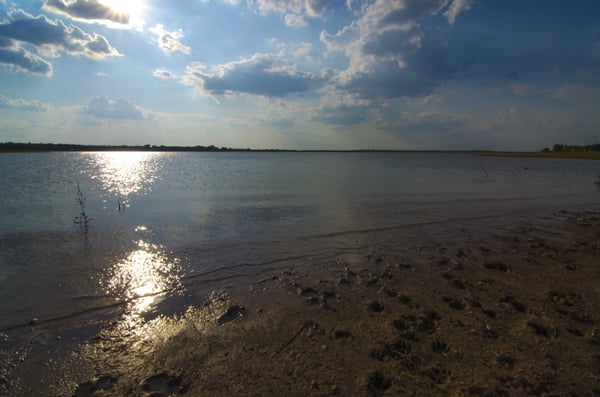 Johnson Park by null