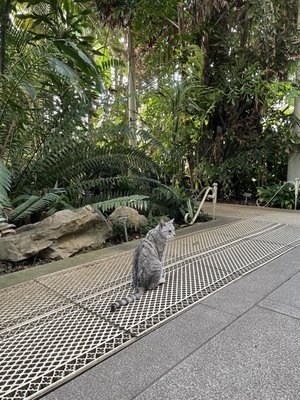 National Botanic Gardens by null