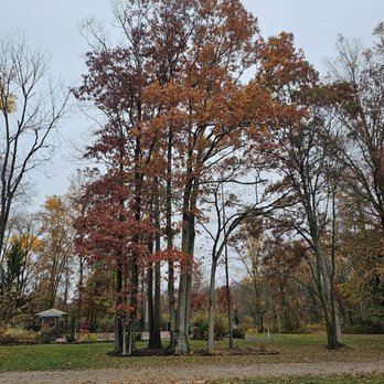 Shady Acres Farm - Fall Colors - Pick Your Own Farms Near Me - Columbia Station, Ohio Shady Acres Farm - Fall Colors - Pick Your Own Farms Near Me - Columbia Station, Ohio