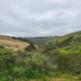 Photo of Lusardi Creek County Preserve