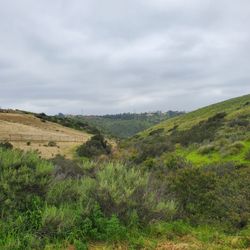 Lusardi Creek County Preserve - Canyon view