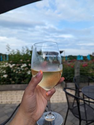 Fox Hollow Vineyards by null