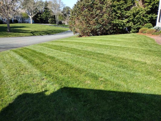 Lawn Care & Maintenance - Mowing lawn, edging beds mulching, detached, aeration, irrigation, planting, transplanting, Fall clean up, spring clean up. Call +15082922005 Lawn Care & Maintenance - Mowing lawn, edging beds mulching, detached, aeration, irrigation, planting, transplanting, Fall clean up, spring clean up. Call +15082922005