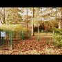 Parc Canin Bonnefoy