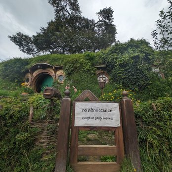 Bush and Beach - Walking Tours Near Me - Auckland, AUK