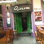 Opus Bar