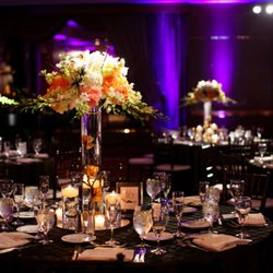 Dallas Event Audio - Pin spot lighting and LED uplighting