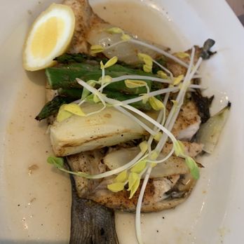 Caffé Milano - Branzino - Italian Near Me - Naples, Florida
