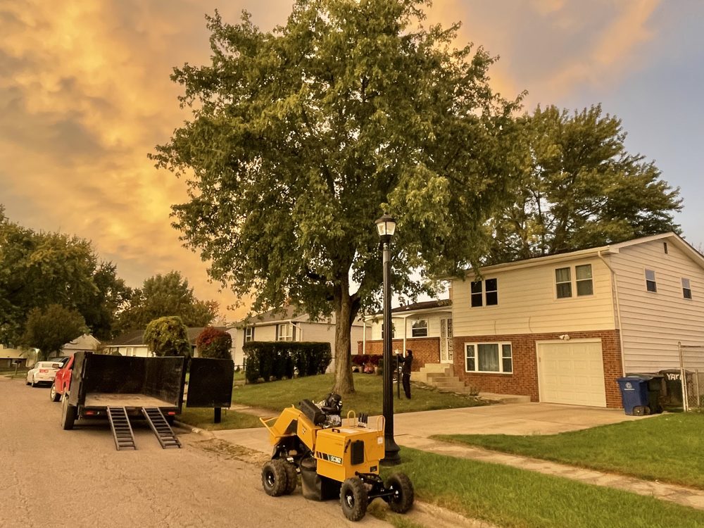 Ortiz Tree Services - tree service in Columbus, OH