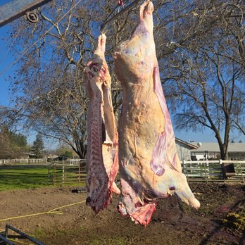 Valencia Ranch Butchering - Butcher Near Me - Atwater, California Valencia Ranch Butchering - Butcher Near Me - Atwater, California