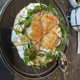 SCALLOP TZATZIKI* SCALLOP TZATZIKI*