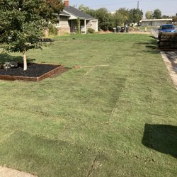 Harry's Landscaping and Maintenance - Great job.  Had to remove old stuff, prep soil, and plant new sod.