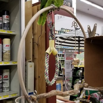 Woods Ace Hardware - Cool fella was talking - BYE & OK + more - Hardware Stores Near Me - Torrance, California Woods Ace Hardware - Cool fella was talking - BYE & OK + more - Hardware Stores Near Me - Torrance, California