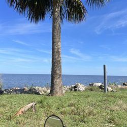 Canal Point Recreation Area - Lake O