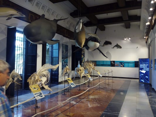 Casa de la Ciencia by null