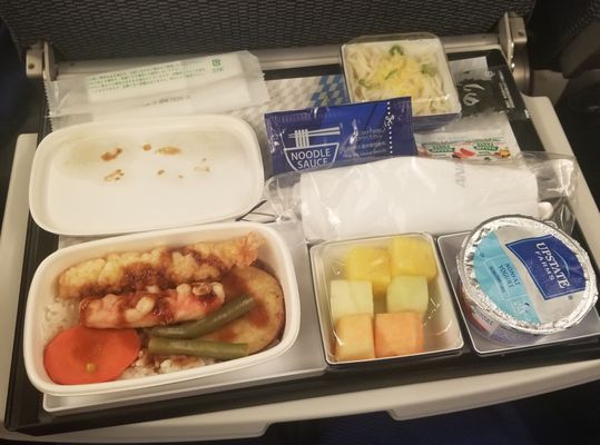 ANA (All Nippon Airways) by null