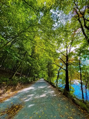 Rockefeller State Park Preserve by null